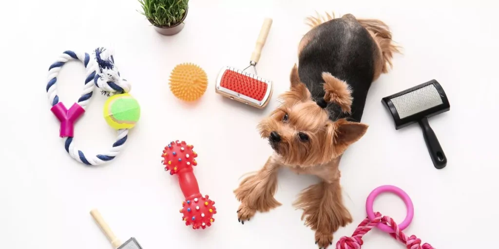 What Are the Top Travel Accessories for Pets on the Go? What Are the Top Travel Accessories for Pets on the Go?