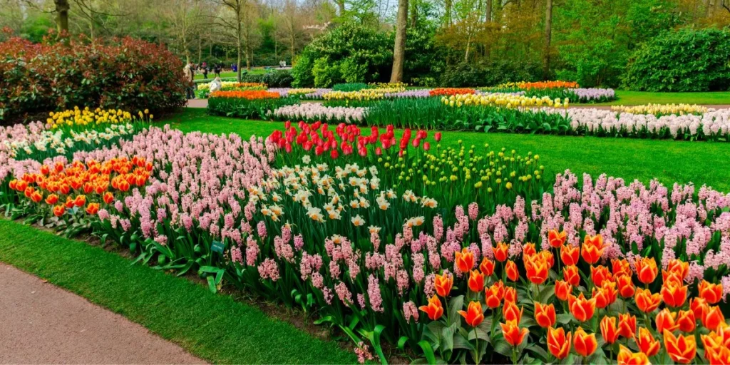 What Are the Latest Trends in Garden Design? What Are the Latest Trends in Garden Design?